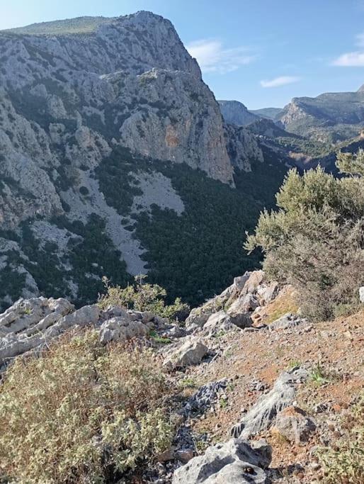 La Nature