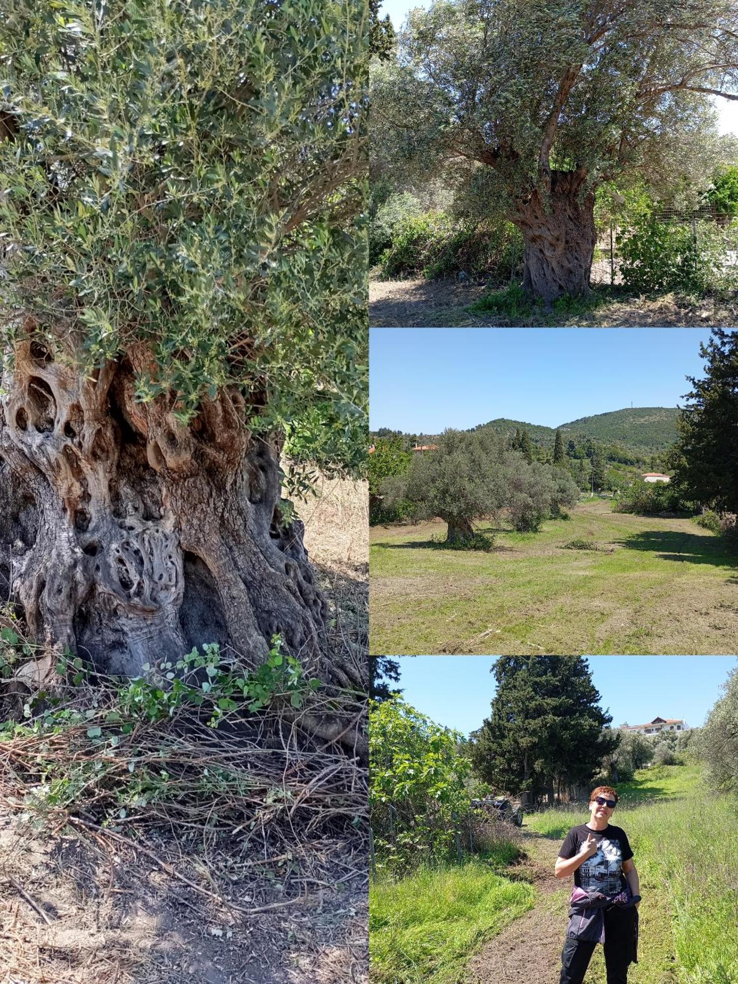בית נופש La Nature