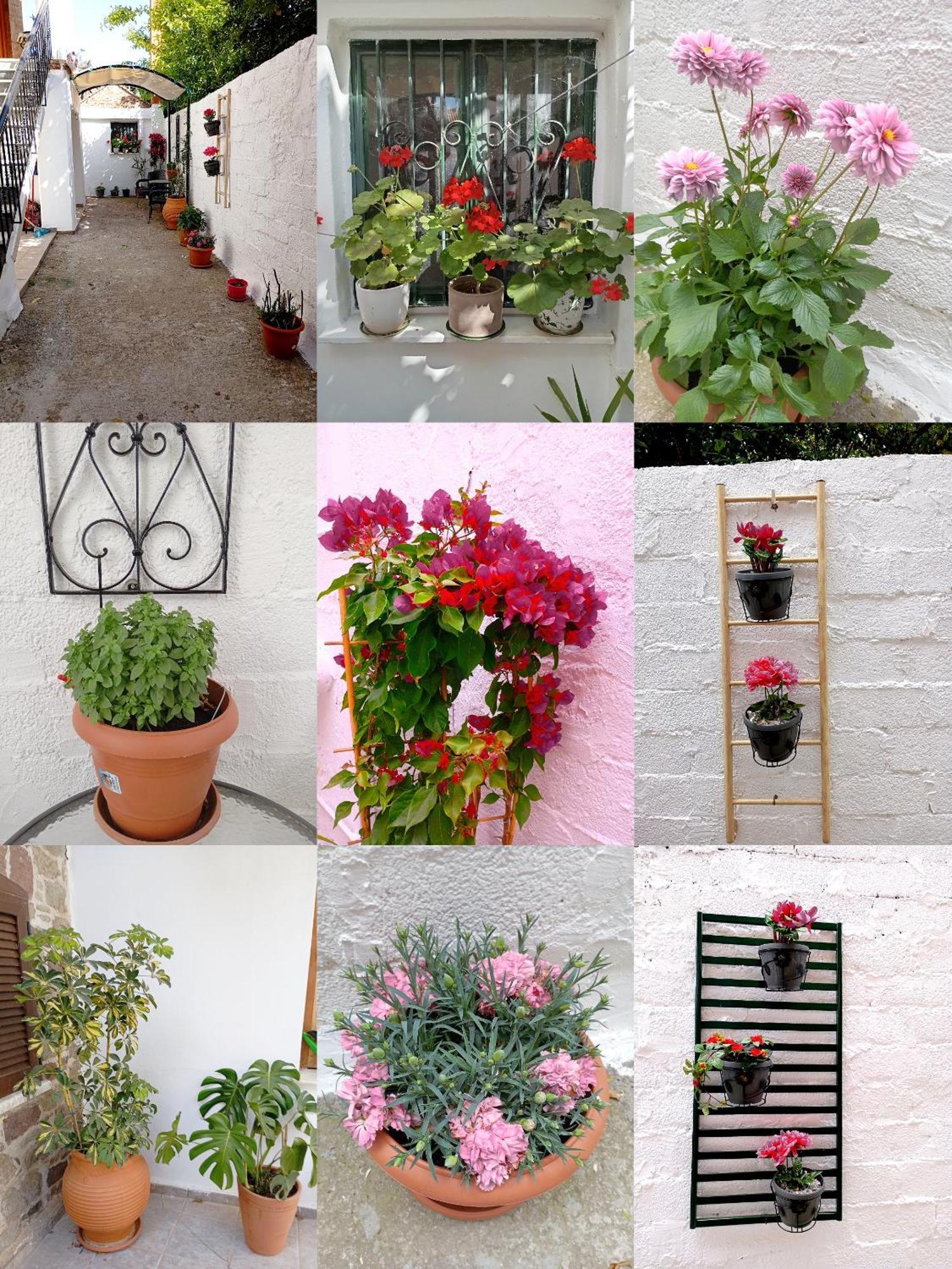 Holiday home La Nature *