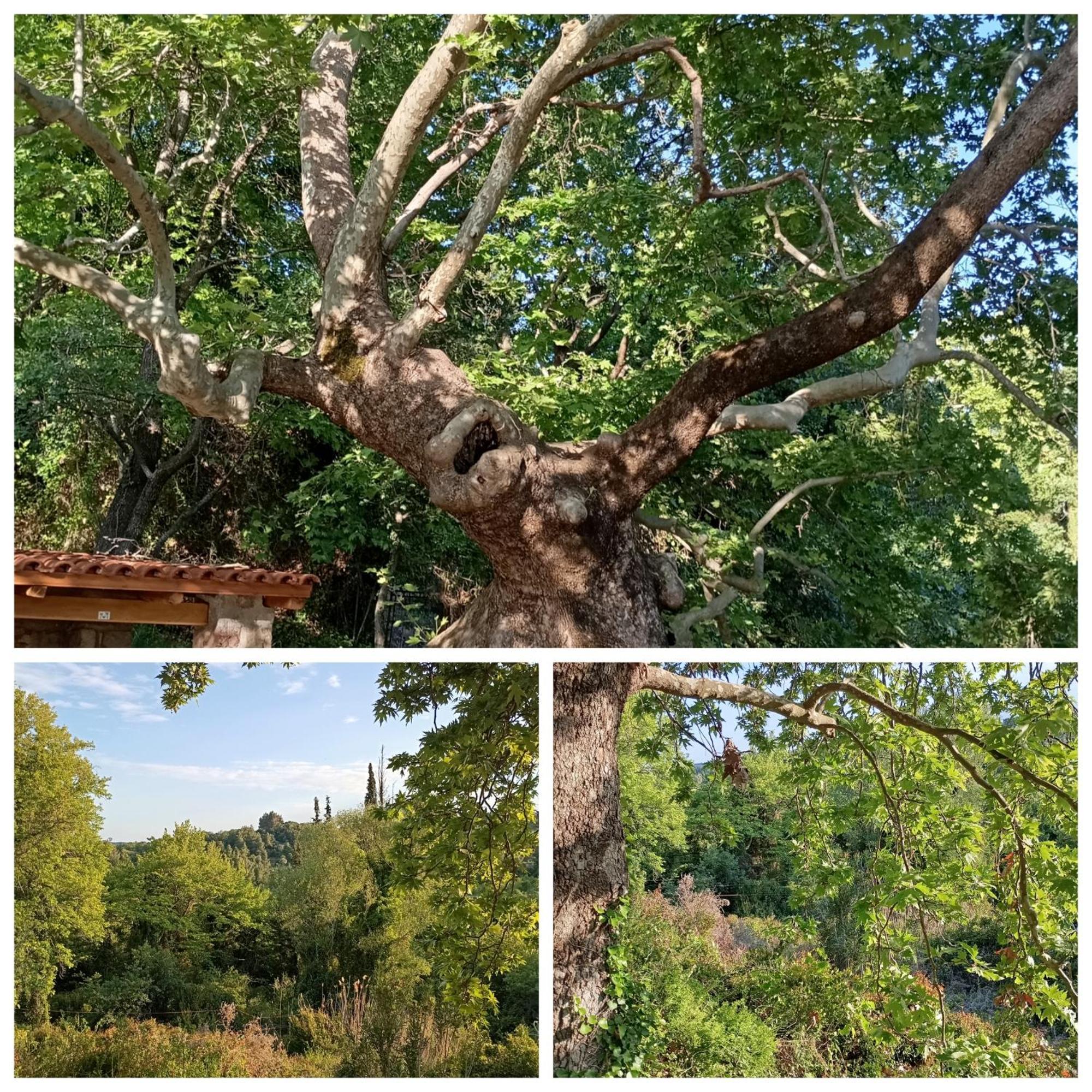 La Nature Konistres